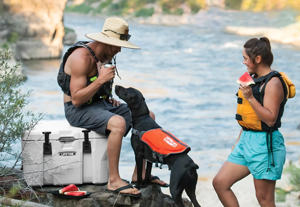 portable cooler box