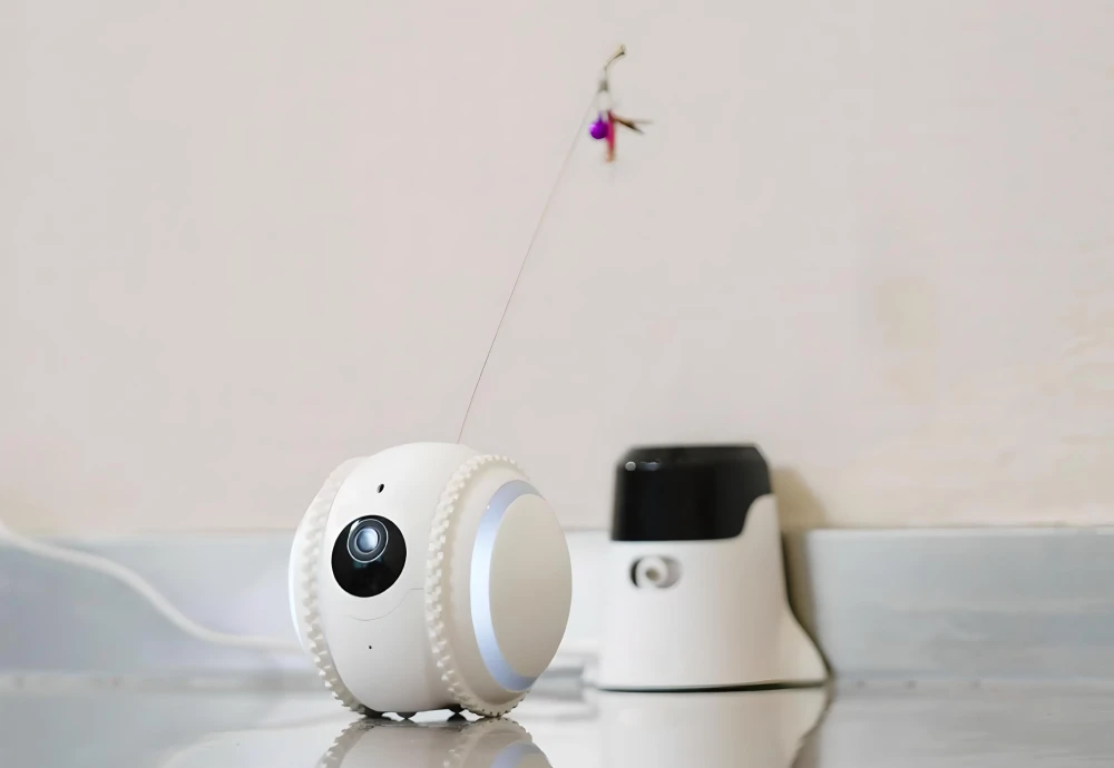 wireless pet monitoring camera